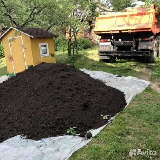 Черная земля