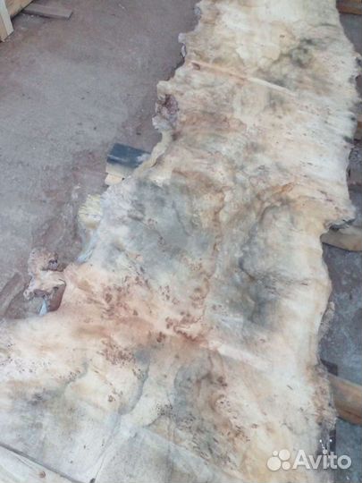 Спилы,слэбы.Каповый тополь. Дуб