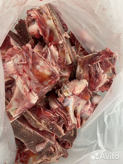 Кость пищевая, говяжья, свиная