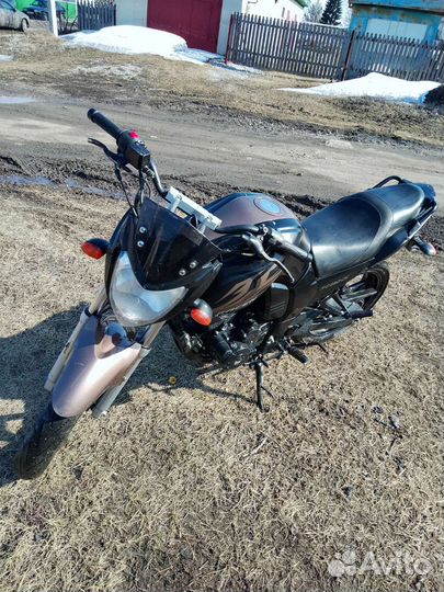 Raser Nitro 250