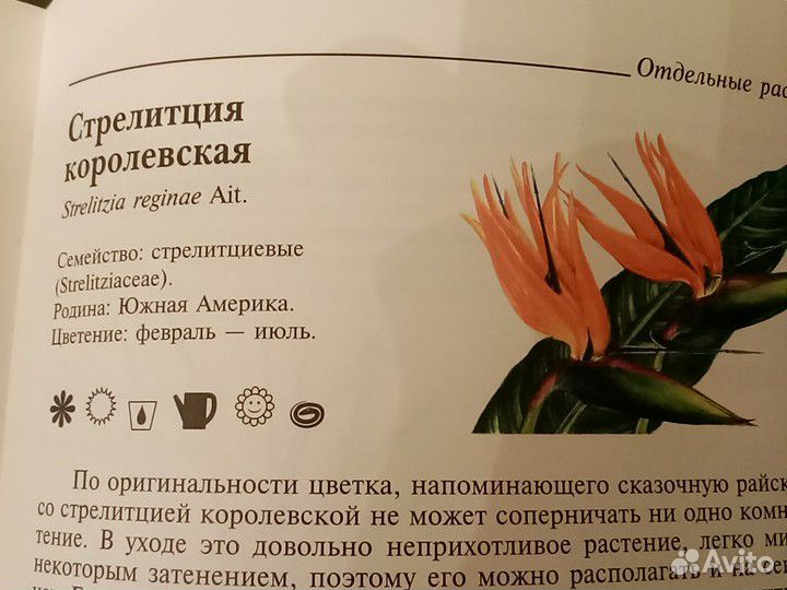 Энциклопедия, комнатных растений