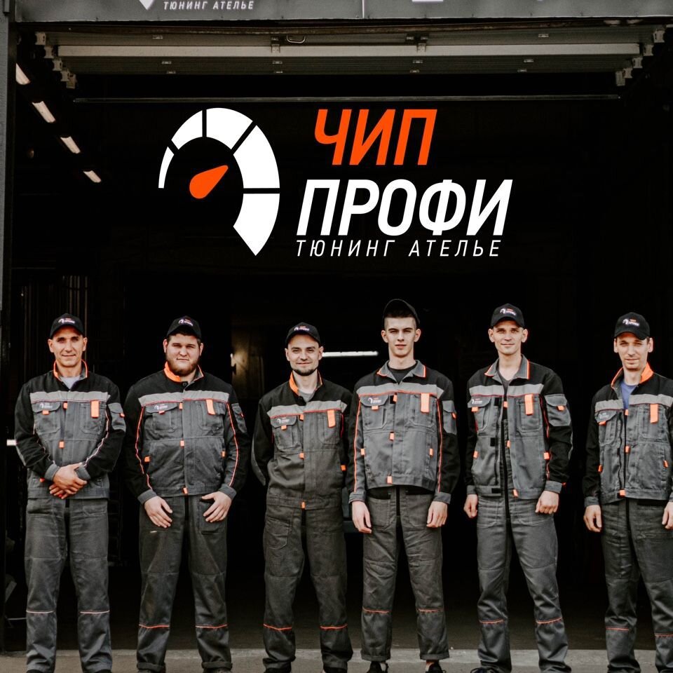 Чип профи волгоград