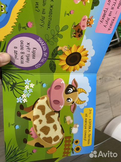 Книга детская