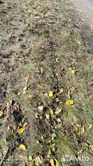 Услуги мульчера