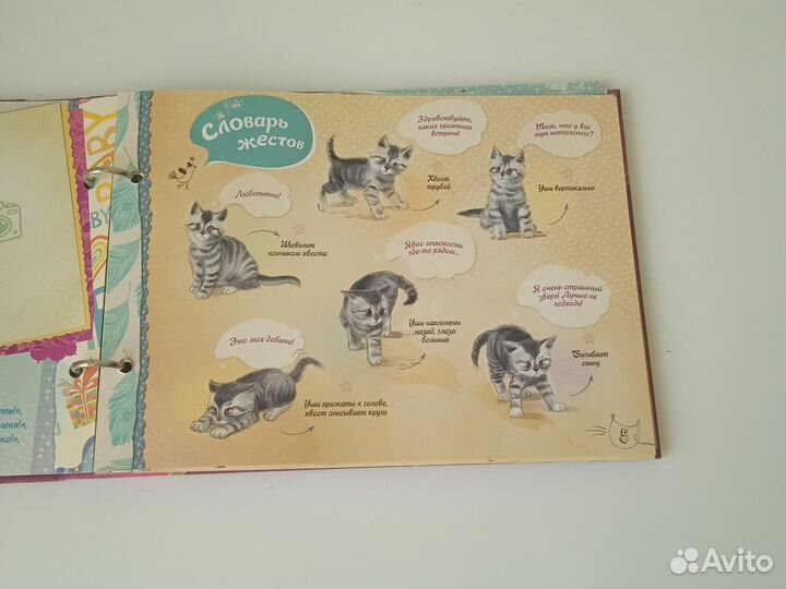 Альбом для твоего котенка