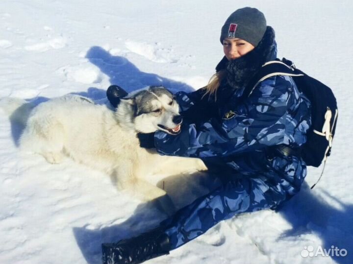 Свой человек в Армавире
