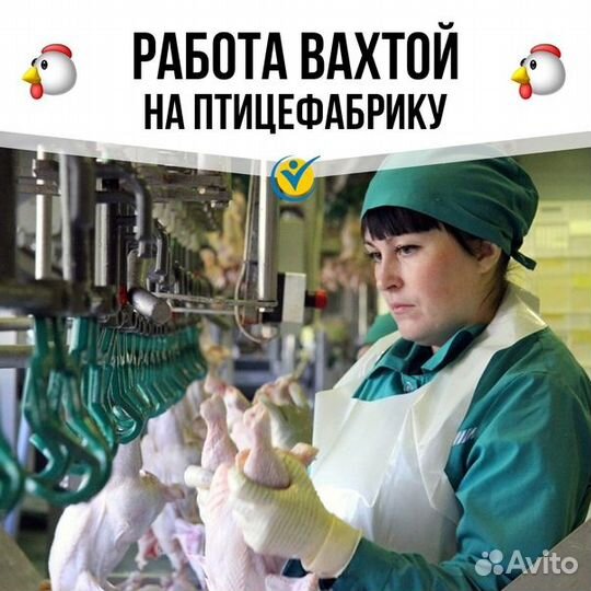 Разнорабочий на птицефабрику с проживанием вахта