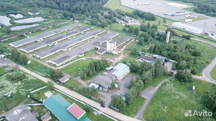 Свинокомплекс продажа