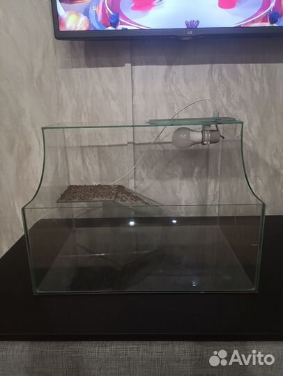 Аквариумные рыбки