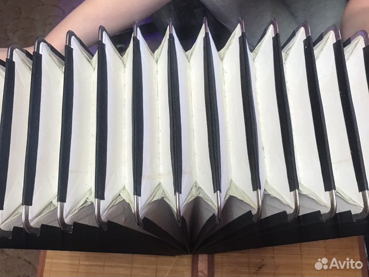 Weltmeister grandina мех