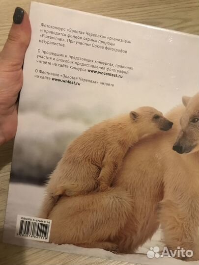 Лучшие фотографии дикой природы фотоальбом