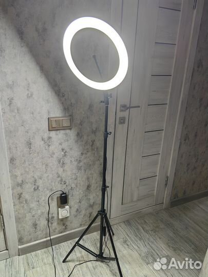 Кольцевая лампа 36