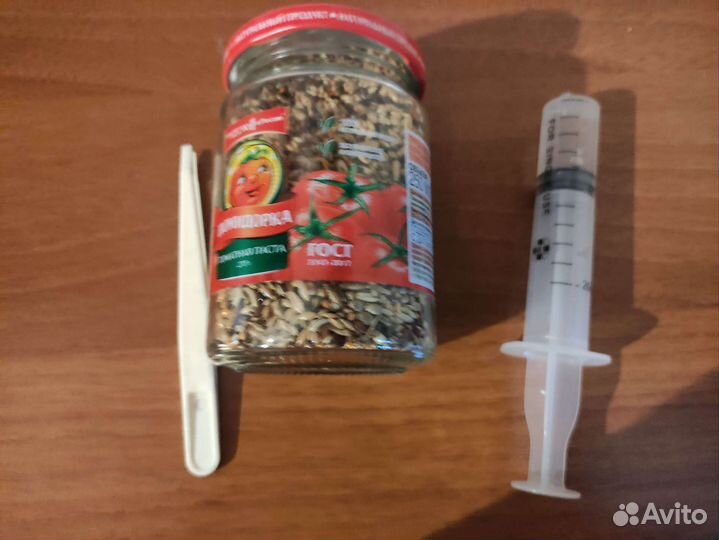 Муравьиная ферма с муравьями