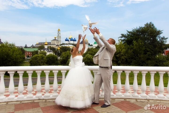 Голуби на съёмки, свадьбу, на праздник