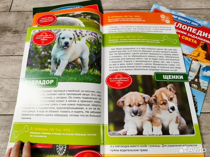 Энциклопедия для малышей 6шт