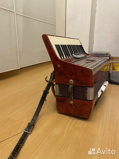 Аккордеон royal standard