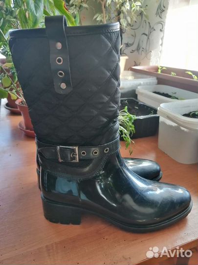 Женская одежда и обувь