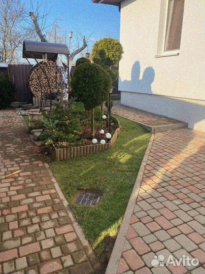 Рулонный газон от производителя