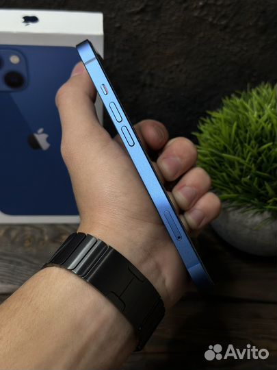 iPhone 13, 128 ГБ