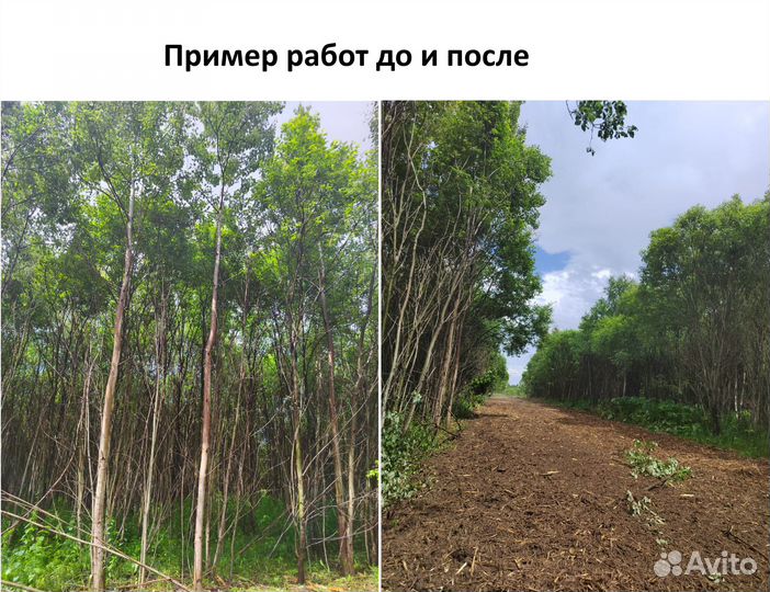 Аренда мульчера 450 л.с. на гусеничном ходу