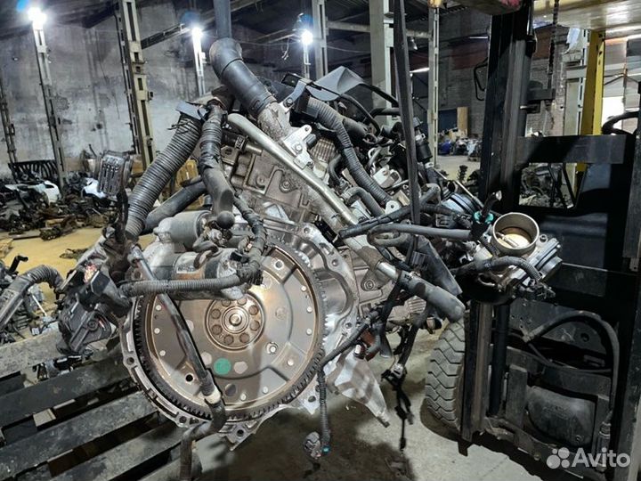 Двигатель VQ25 2.5 Nissan Teana J32