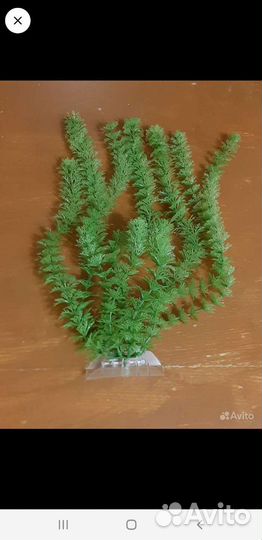 Корм и улитки