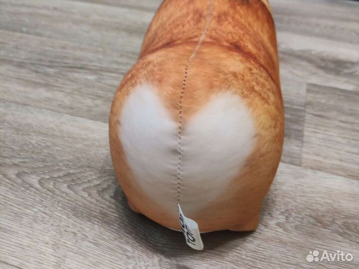 Bloptop собака корги