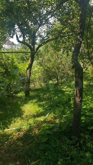 Участок 8,5 сот. (ИЖС)