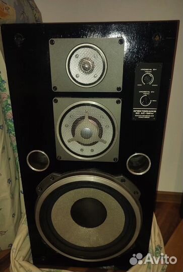 Колонки электроника 50 ас-061м