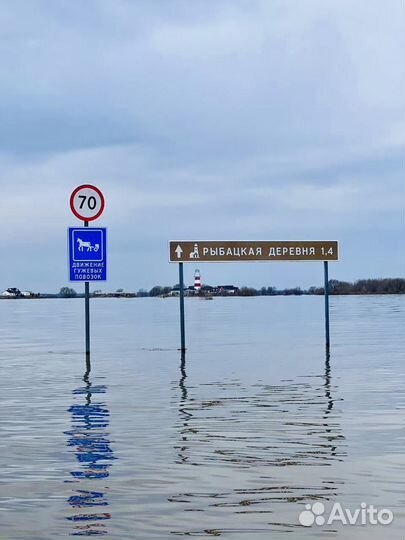 Сапборд аренда разлив Оки