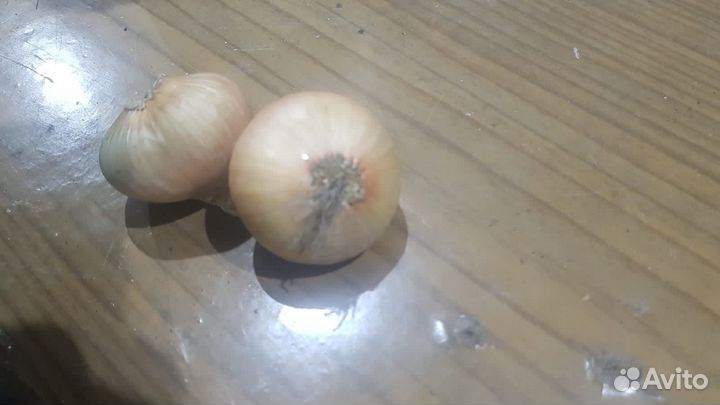 Лук Штутгарт