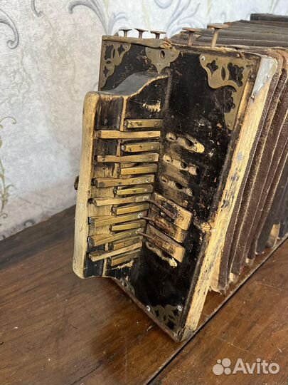 Гармошка Тальянка В Ремонт 2