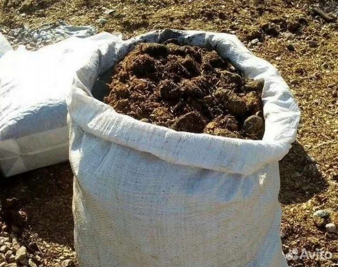 Конский навоз