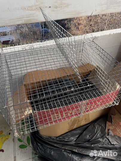 Клеткадля передержки