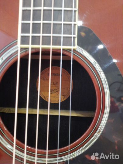 Гитара Yamaha LL-6