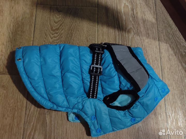 Одежда для собак