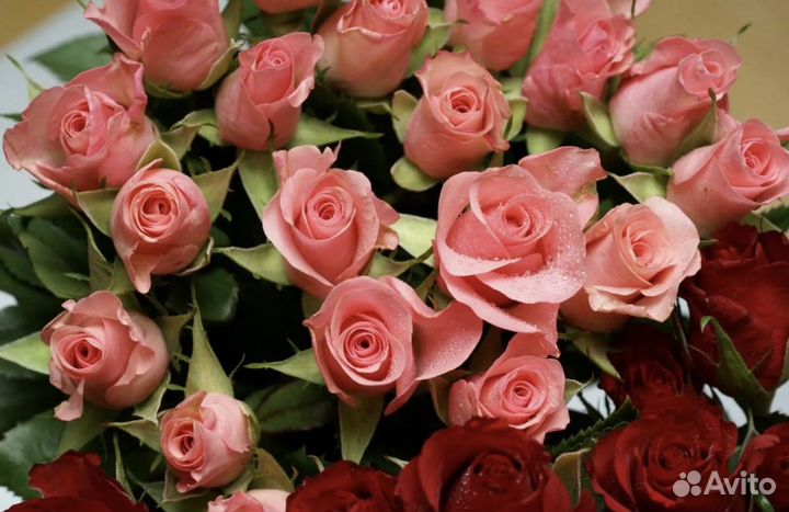 Букет роз