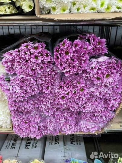 Хризантема кустовая букет цветы доставка маме