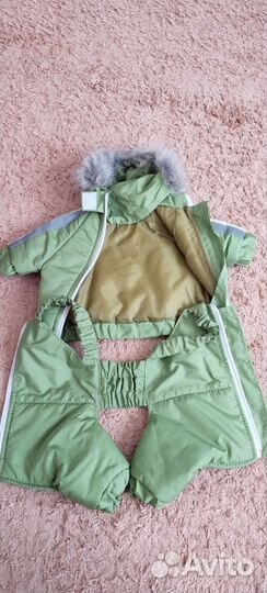 Верхняя одежда на йорка