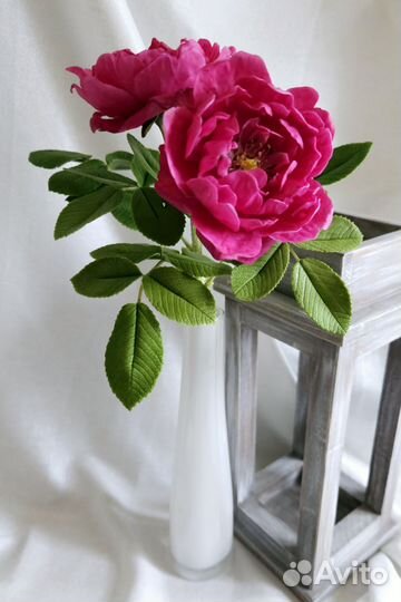 Веточка махрового шиповника