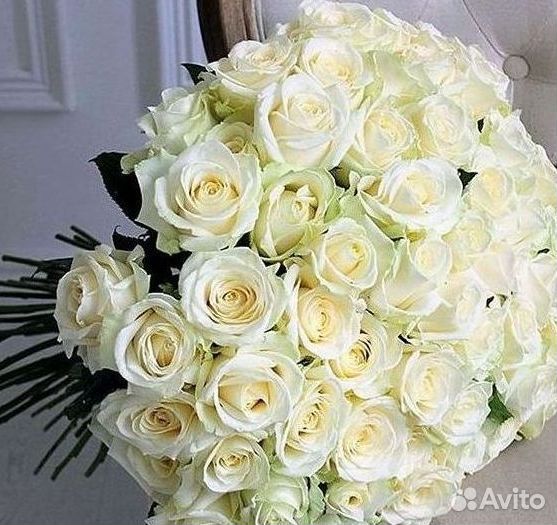Розы Цветы Букеты 25 151 201 101 301 501 опт