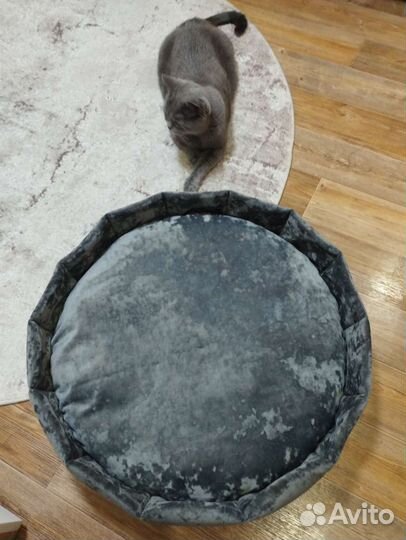 Лежанка для собак