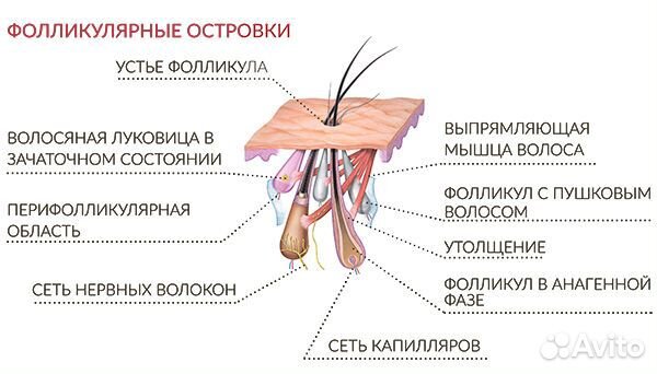 Crescina ампулы для волос 2100, 1900 / 40 шт 20+20