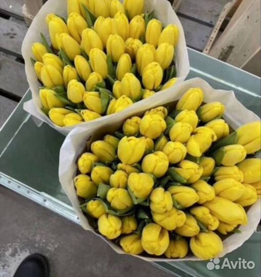 Букеты тюльпанов к 8 марта