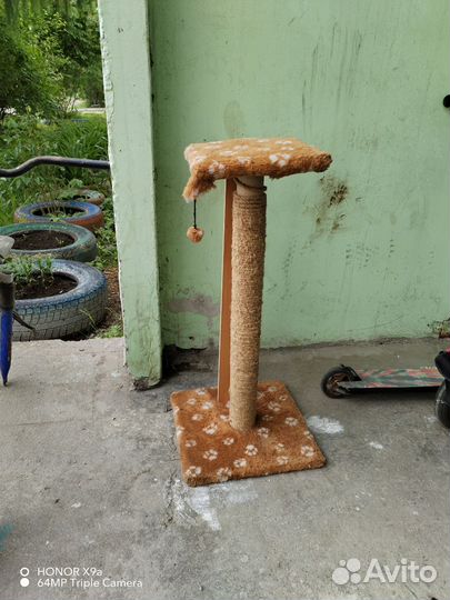 Когтеточка