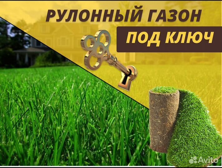 Рулонный газон Стандарт под ключ