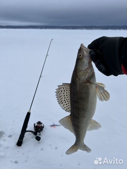 Зимние удочки и катушки