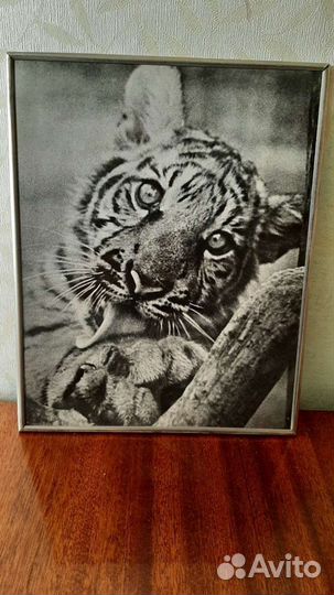 Картина, художественная фотография, чеканка