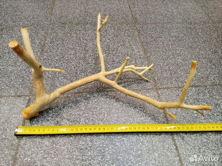 Ветки (коряги) яблони и вишни - продажа/обмен