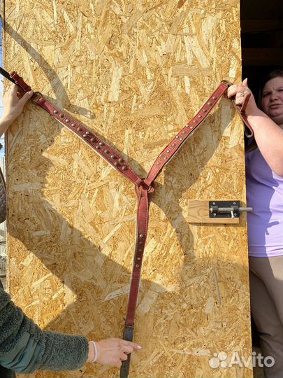 Конная амуниция бу